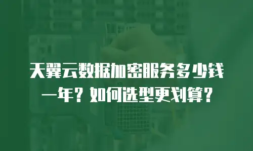 天翼云数据加密服务多少钱一年？如何选型更划算？