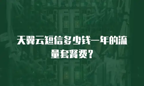 天翼云短信多少钱一年的流量套餐费？