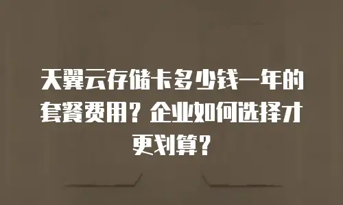 天翼云存储卡多少钱一年的套餐费用？企业如何选择才更划算？
