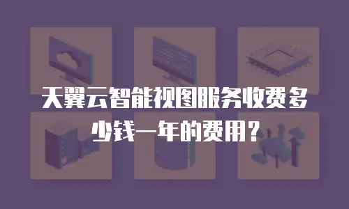 天翼云智能视图服务收费多少钱一年的费用？