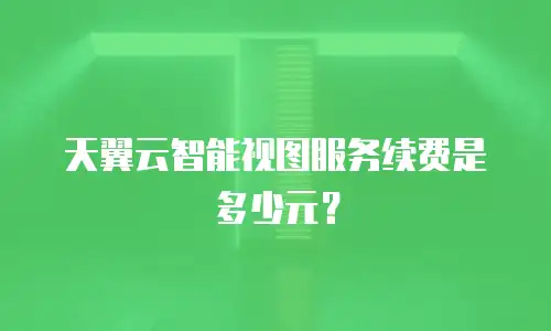天翼云智能视图服务续费是多少元？