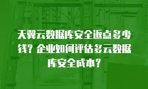 天翼云数据库安全返点多少钱？企业如何评估多云数据库安全成本？