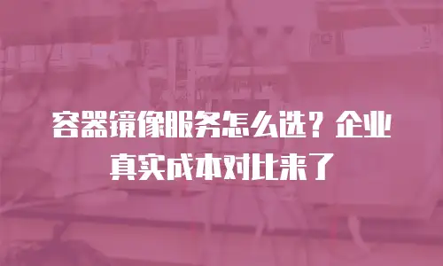 容器镜像服务怎么选？企业真实成本对比来了