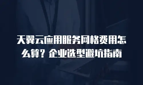天翼云应用服务网格费用怎么算？企业选型避坑指南