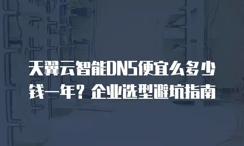天翼云智能DNS便宜么多少钱一年？企业选型避坑指南