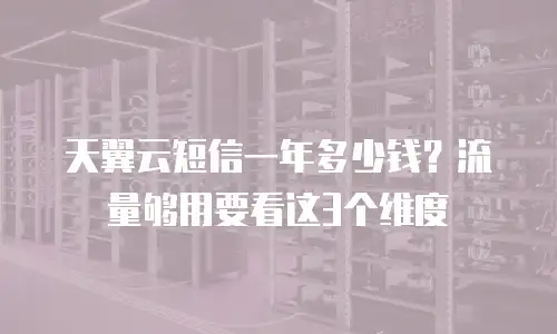 天翼云短信一年多少钱？流量够用要看这3个维度