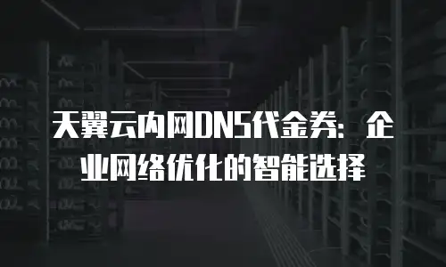 天翼云内网DNS代金券：企业网络优化的智能选择