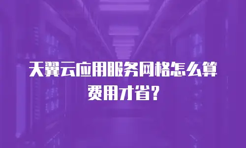 天翼云应用服务网格怎么算费用才省？