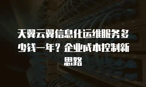 天翼云翼信息化运维服务多少钱一年？企业成本控制新思路