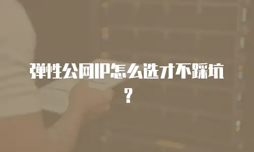 弹性公网IP怎么选才不踩坑？