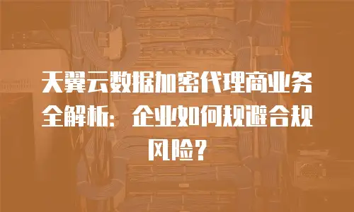 天翼云数据加密代理商业务全解析：企业如何规避合规风险？
