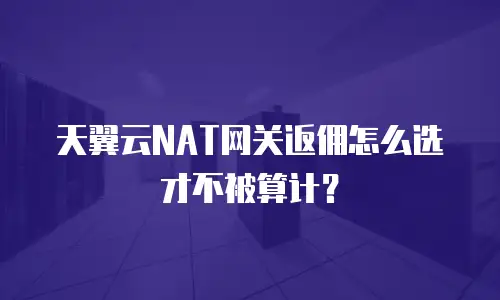 天翼云NAT网关返佣怎么选才不被算计？