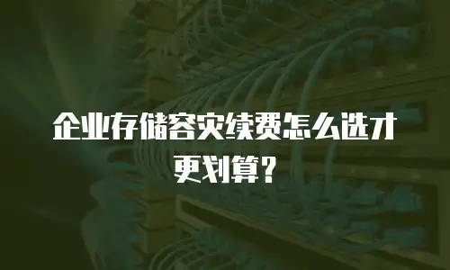 企业存储容灾续费怎么选才更划算？