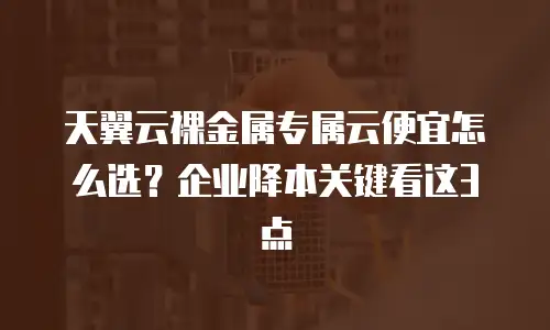 天翼云裸金属专属云便宜怎么选？企业降本关键看这3点