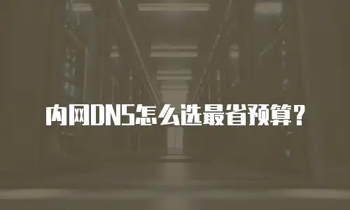 内网DNS怎么选最省预算？