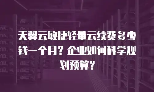 天翼云敏捷轻量云续费多少钱一个月？企业如何科学规划预算？