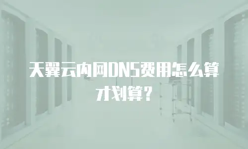 天翼云内网DNS费用怎么算才划算？