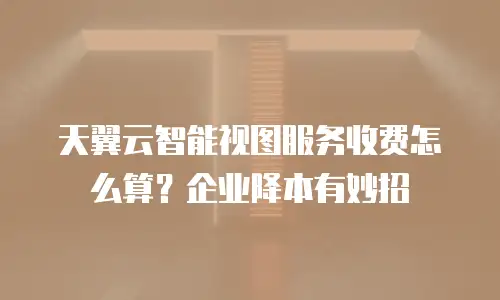 天翼云智能视图服务收费怎么算？企业降本有妙招