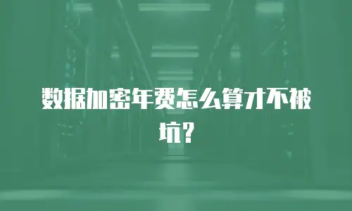 数据加密年费怎么算才不被坑？