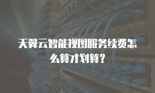 天翼云智能视图服务续费怎么算才划算？