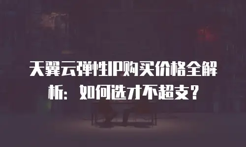 天翼云弹性IP购买价格全解析：如何选才不超支？