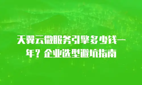 天翼云微服务引擎多少钱一年？企业选型避坑指南