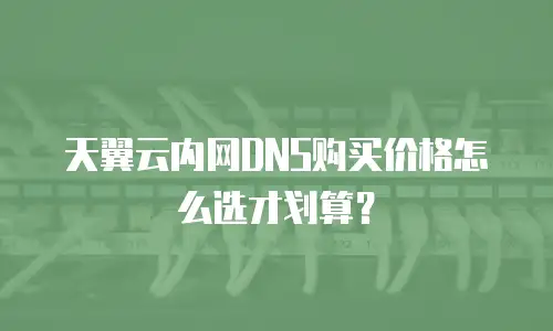 天翼云内网DNS购买价格怎么选才划算？