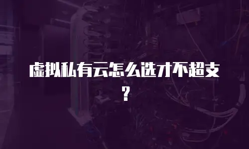 虚拟私有云怎么选才不超支？