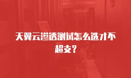 天翼云渗透测试怎么选才不超支？