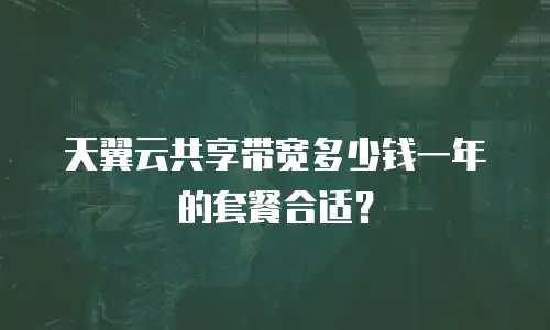 天翼云共享带宽多少钱一年的套餐合适？