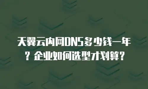 天翼云内网DNS多少钱一年？企业如何选型才划算？