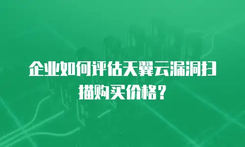 企业如何评估天翼云漏洞扫描购买价格？