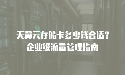 天翼云存储卡多少钱合适？企业级流量管理指南
