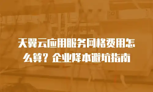 天翼云应用服务网格费用怎么算？企业降本避坑指南