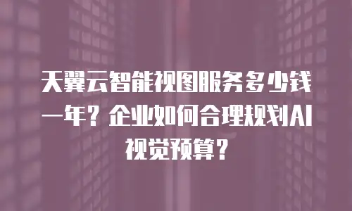天翼云智能视图服务多少钱一年？企业如何合理规划AI视觉预算？