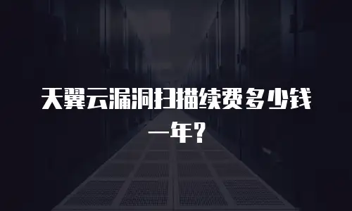天翼云漏洞扫描续费多少钱一年？