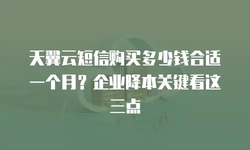 天翼云短信购买多少钱合适一个月？企业降本关键看这三点