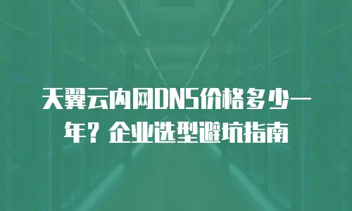 天翼云内网DNS价格多少一年？企业选型避坑指南