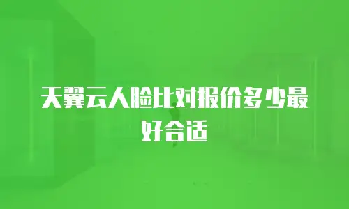 天翼云人脸比对报价多少最好合适