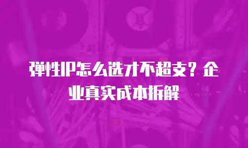 弹性IP怎么选才不超支？企业真实成本拆解