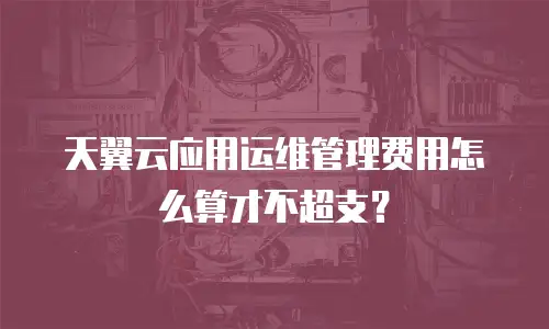 天翼云应用运维管理费用怎么算才不超支？