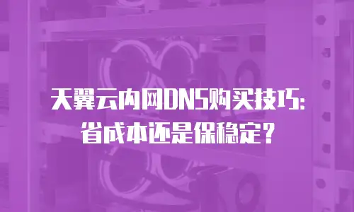 天翼云内网DNS购买技巧：省成本还是保稳定？