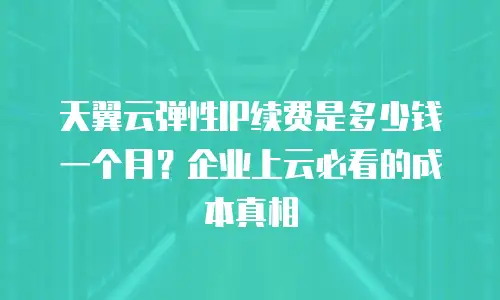 天翼云弹性IP续费是多少钱一个月？企业上云必看的成本真相