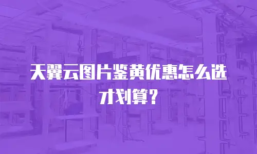 天翼云图片鉴黄优惠怎么选才划算？