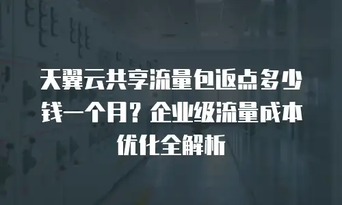 天翼云共享流量包返点多少钱一个月？企业级流量成本优化全解析
