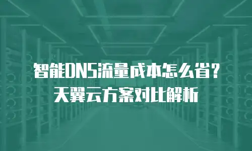 智能DNS流量成本怎么省？天翼云方案对比解析