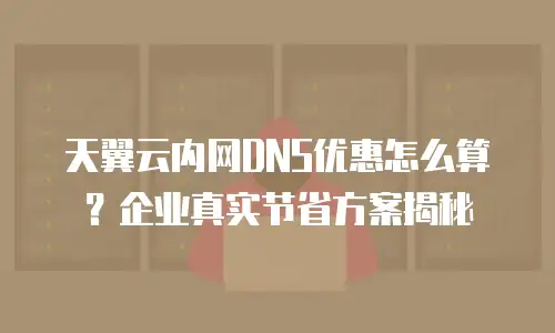 天翼云内网DNS优惠怎么算？企业真实节省方案揭秘
