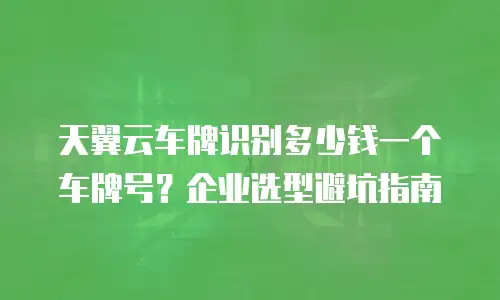 天翼云车牌识别多少钱一个车牌号？企业选型避坑指南