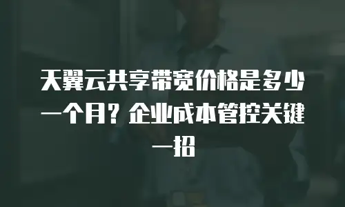 天翼云共享带宽价格是多少一个月？企业成本管控关键一招