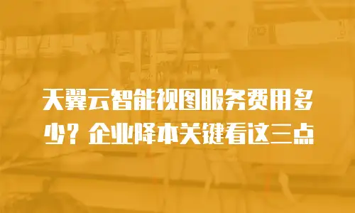 天翼云智能视图服务费用多少？企业降本关键看这三点